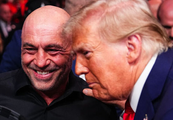 Plotting. Jeff Bottari/Zuffa LLC.