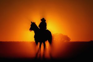 Will Australia fall for Trumpism?