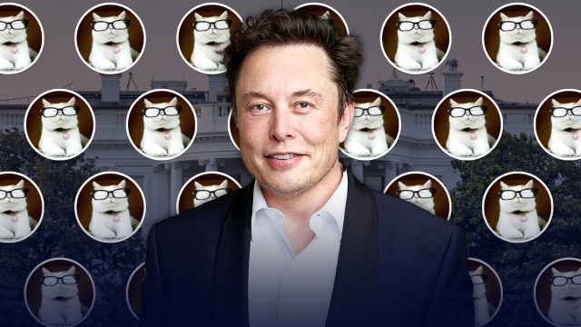 How Elon Musk lost the plot