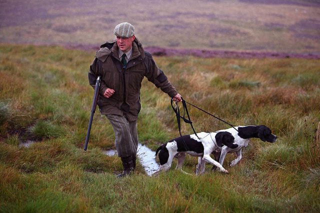 Nobody knows who owns what. Jeff J Mitchell / Getty Images
