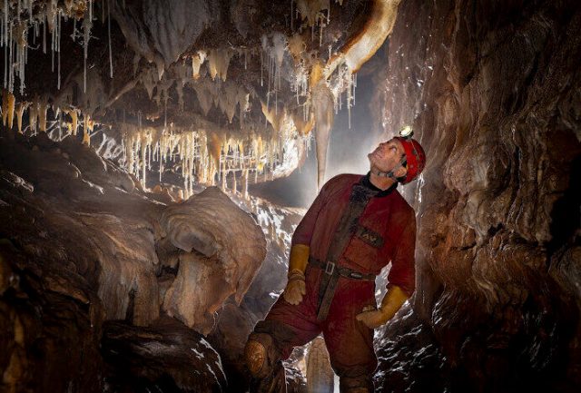 UnHerd reporter David Rose in the White Forest. Photo: Bartek Biela