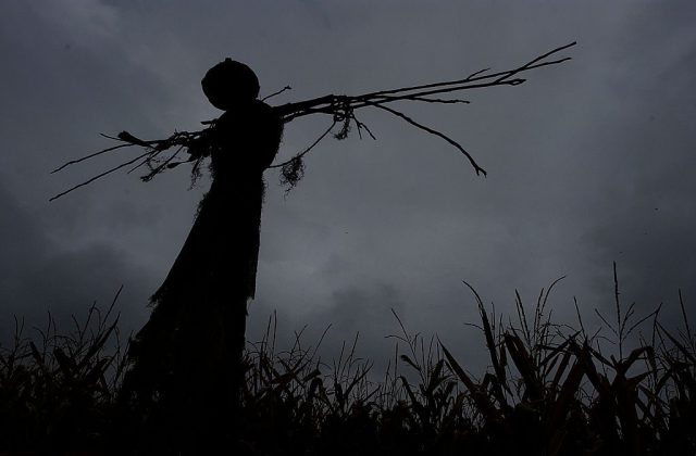 Americans are addicted to haunted houses. Craig F. Walker/The Denver Post via Getty Images