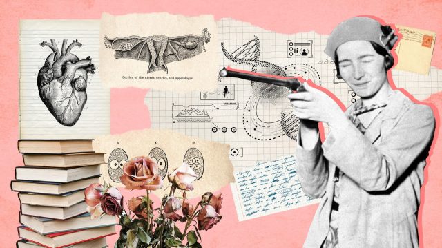 The pioneering feminist thinker is being erased. Credit: UnHerd