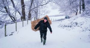 Labour is crushing Britain's farmers