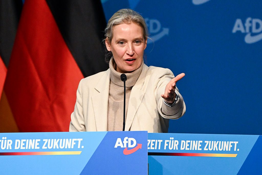 AfD leader Alice Weidel claims that German business leaders are reaching out to the party in private. Credit: Getty