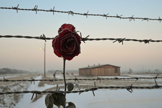 Even though the Holocaust is the only historical event that is compulsory within the KS3 history curriculum, schools are becoming increasingly nervous of commemorating it. (Credit: Artur Widak / Getty Images)