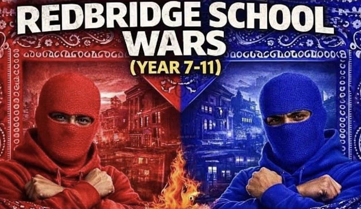 'The police and school response may have been an overreaction to digitally-mediated youth cultures.' Credit: TikTok.