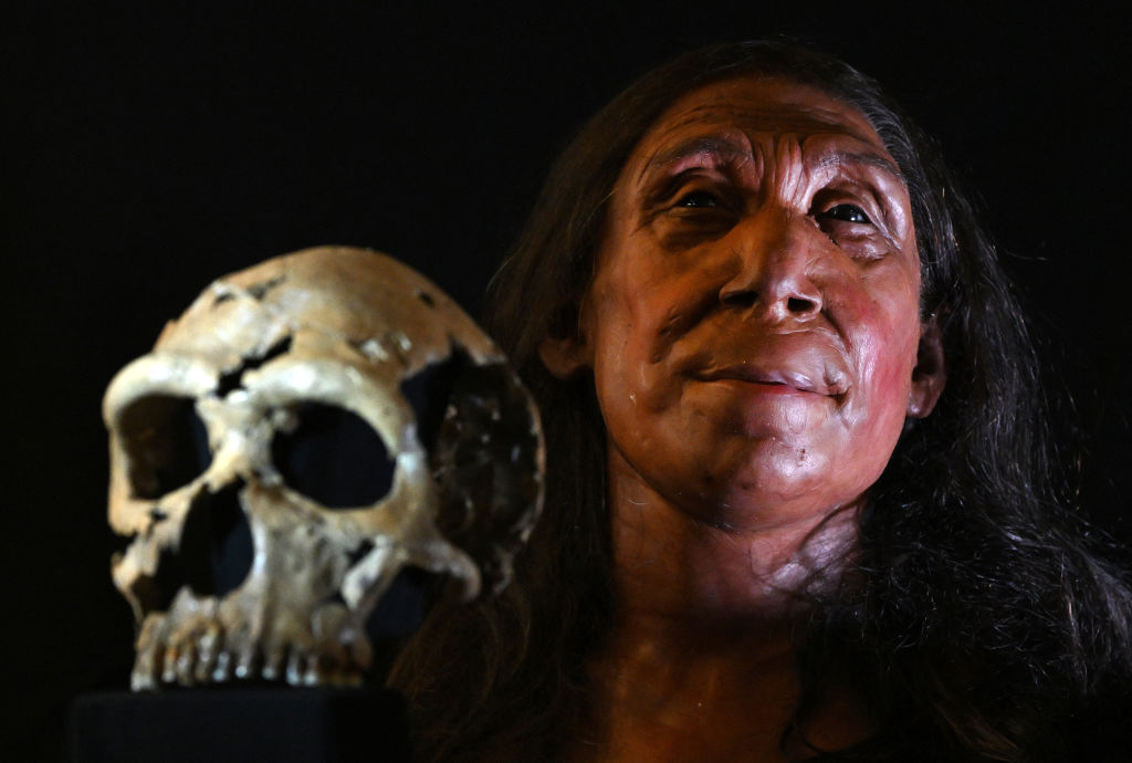 ‘Never mind Jurassic Park, this would be the ultimate prize in de-extinction.’ Credit: Getty