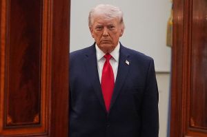 Democrats’ 25th Amendment threats are pure virtue-signalling