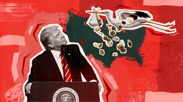The Trump Accounts’ false promise