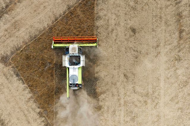 Giant dust clouds rise from a yellow-grey combine harvester as it crawls across a parched field in Suffolk. (Toby Shepheard/AFP/Getty)