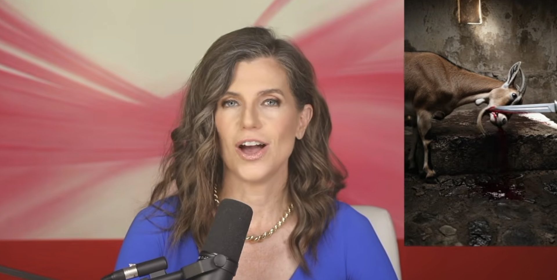 Mace's show featured the  slaughter of AI-generated animals. Credit: Nancy Mace/YT