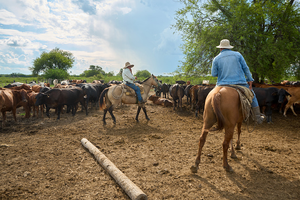 Ranchers now face years of uncertainty.